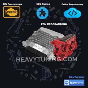 CUMMINS CM2220-CM2250 delete emission